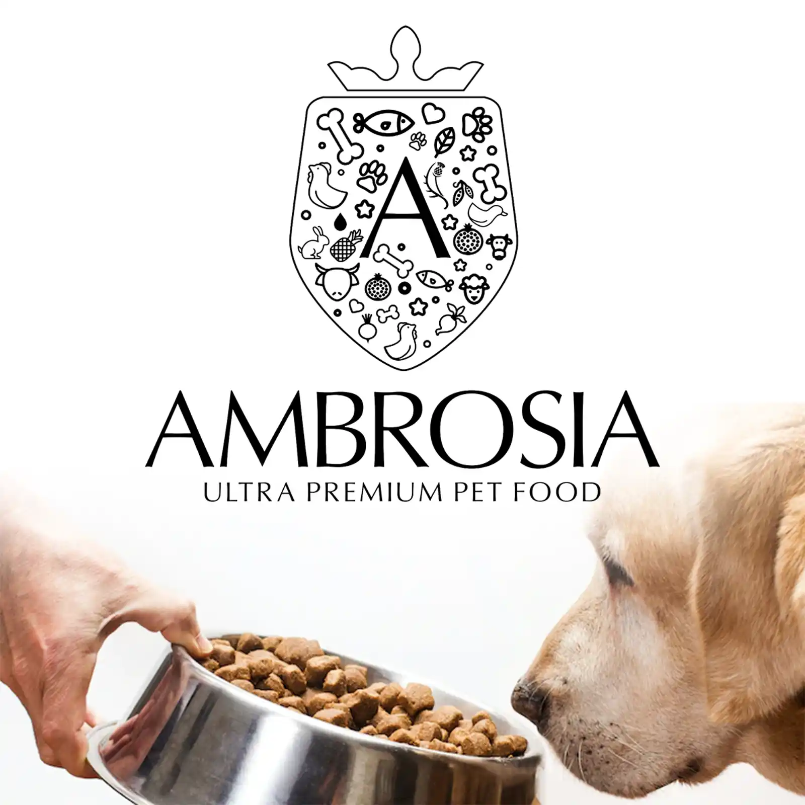 Ambrosia logo featuring a hand holding a bowl and feeding a Labrador Retriever.