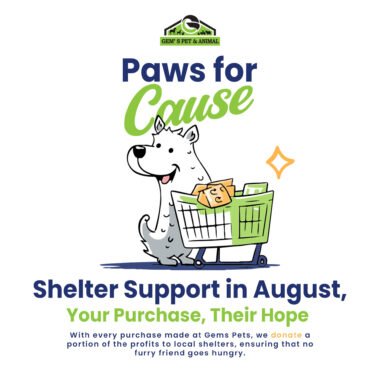 Support Local Dog Shelters: Paws for a Cause at Gems Pets