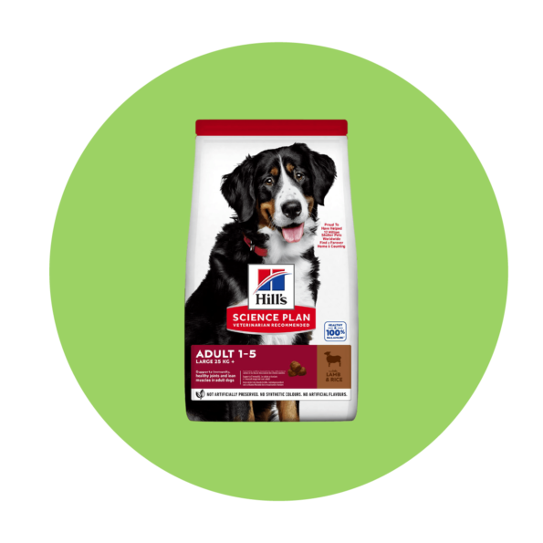 Pet Shop Cyprus Gems Online Pet Store Shipping Across Cyprus