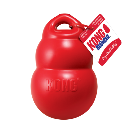 KONG Bounzer Large