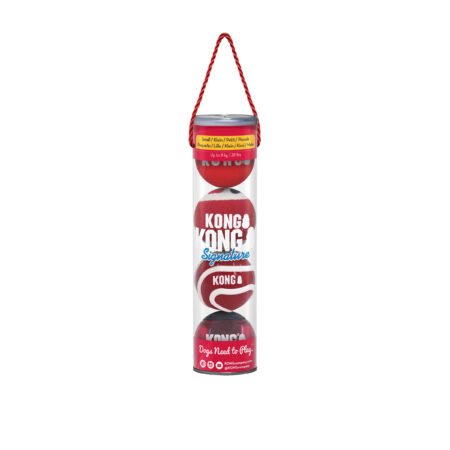 KONG Signature Balls 4-pk Assorted Small
