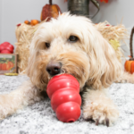 KONG Classic M-Red-T2E_ON_PK_1