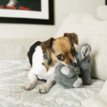 KONG-Comfort-Kiddos-Elephant-XS-RLC53E_ON_PK_1