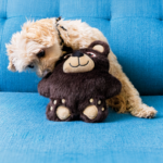 KONG-Snuzzles Bear-M-SNZ23E_ON_PK_1