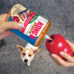 KONG-Stuff’N Peanut Butter-170g-XNP1E_ON_PK_1