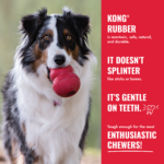 KONG Classic XS-Red-T4E_ON_PK_1