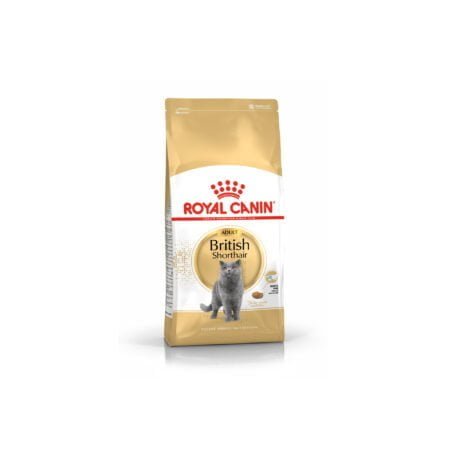 Royal Canin British Shorthair 4kg