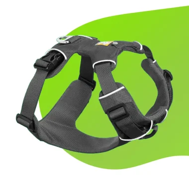 DOG ACCESSORIES