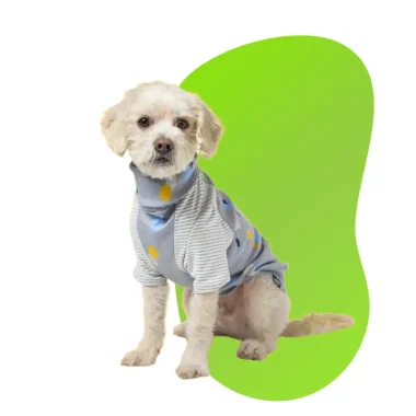 DOG CLOTHING
