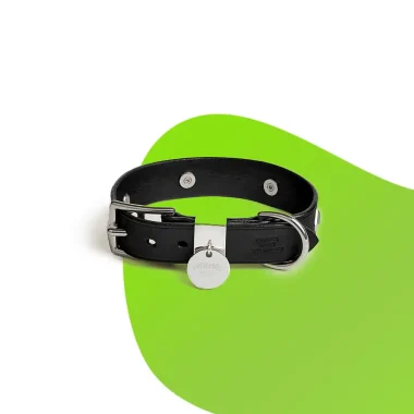 DOG COLLARS AND LEADS