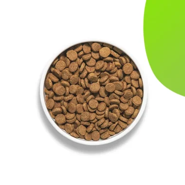 DOG DRY FOOD