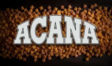 Acana dog food - quality ingredients and nutrition