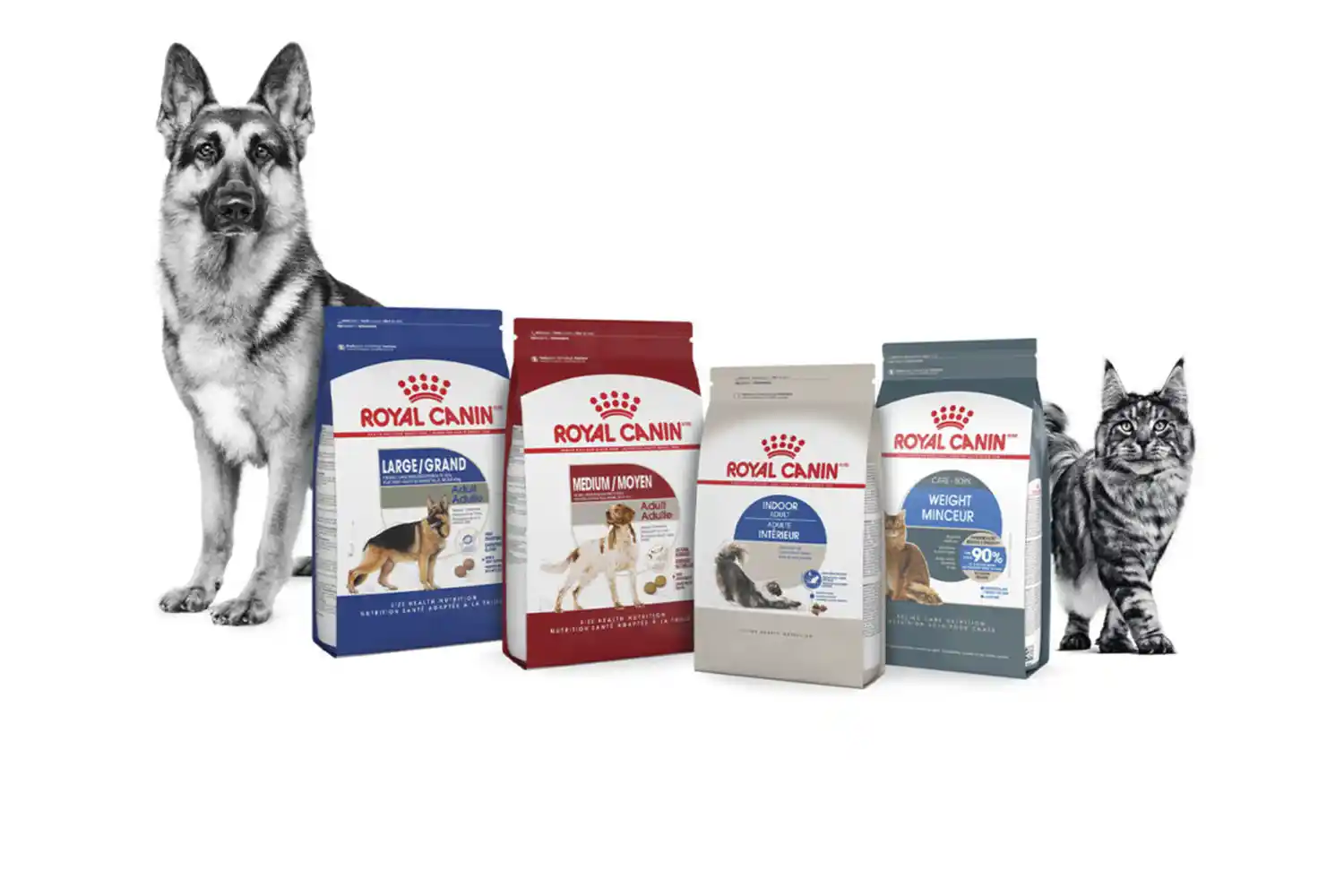 Pet Food Cyprus: Royal Canin - Elevate Your Pet's Nutrition with Tailored Excellence