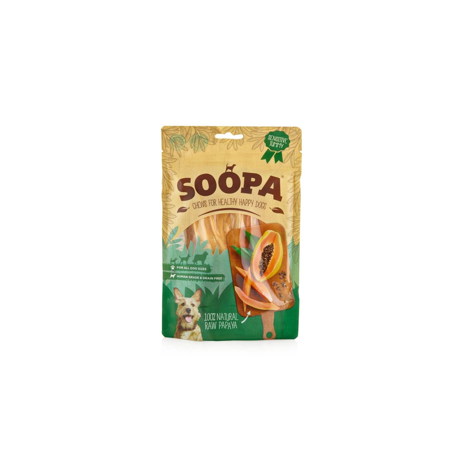 IE00004.jpg
