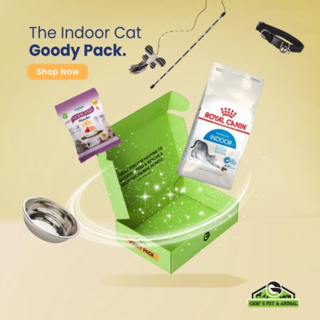 THE INDOOR CAT GOODY PACK