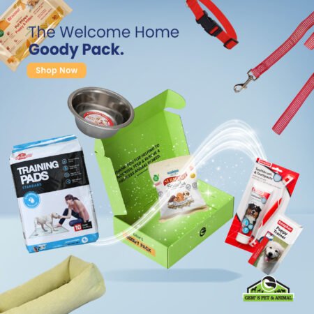 THE WELCOME HOME GOODY PACK