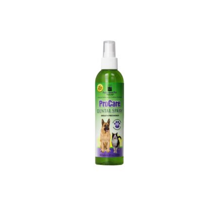 PPP DENTAL SPRAY 8OZ A825