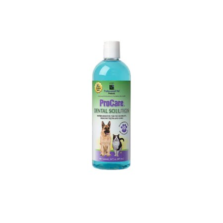 PPP DENTAL SOLUTION 16OZ A860