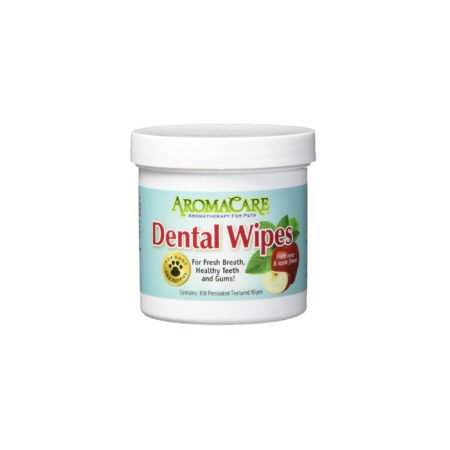 PPP DENTAL WIPES 100COUNT A1170