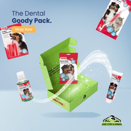 THE DENTAL HEALTH GOODY PACK