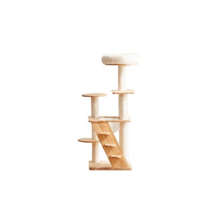 CAT PLAYGROUND WOODY CLEAR 48*48*130cm