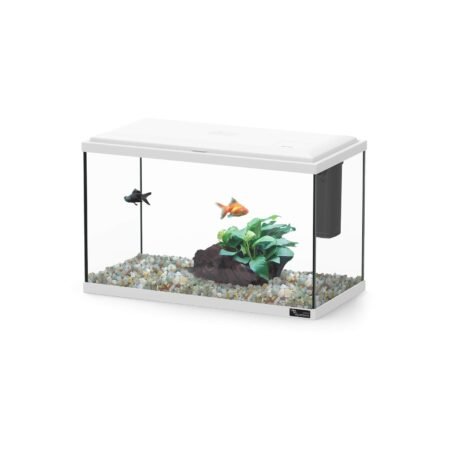 AQUATLANTIS EXPLORER LISBON 40 COL025 WHITE