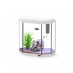 AQUATLANTIS EXPLORER ROME C25 COR025 WHITE