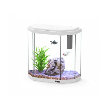 AQUATLANTIS EXPLORER ROME C25 COR025 WHITE