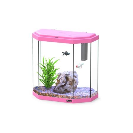 AQUATLANTIS EXPLORER ROME C25 COR078 PINK