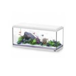 AQUATLANTIS EXPLORER AMSTERDAM 80 COL025 WHITE