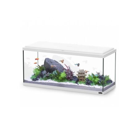 AQUATLANTIS EXPLORER AMSTERDAM 80 COL025 WHITE