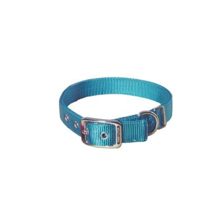 Hamilton Buckle Dog Collar 20 1 Double Thick 43-51cm Teal