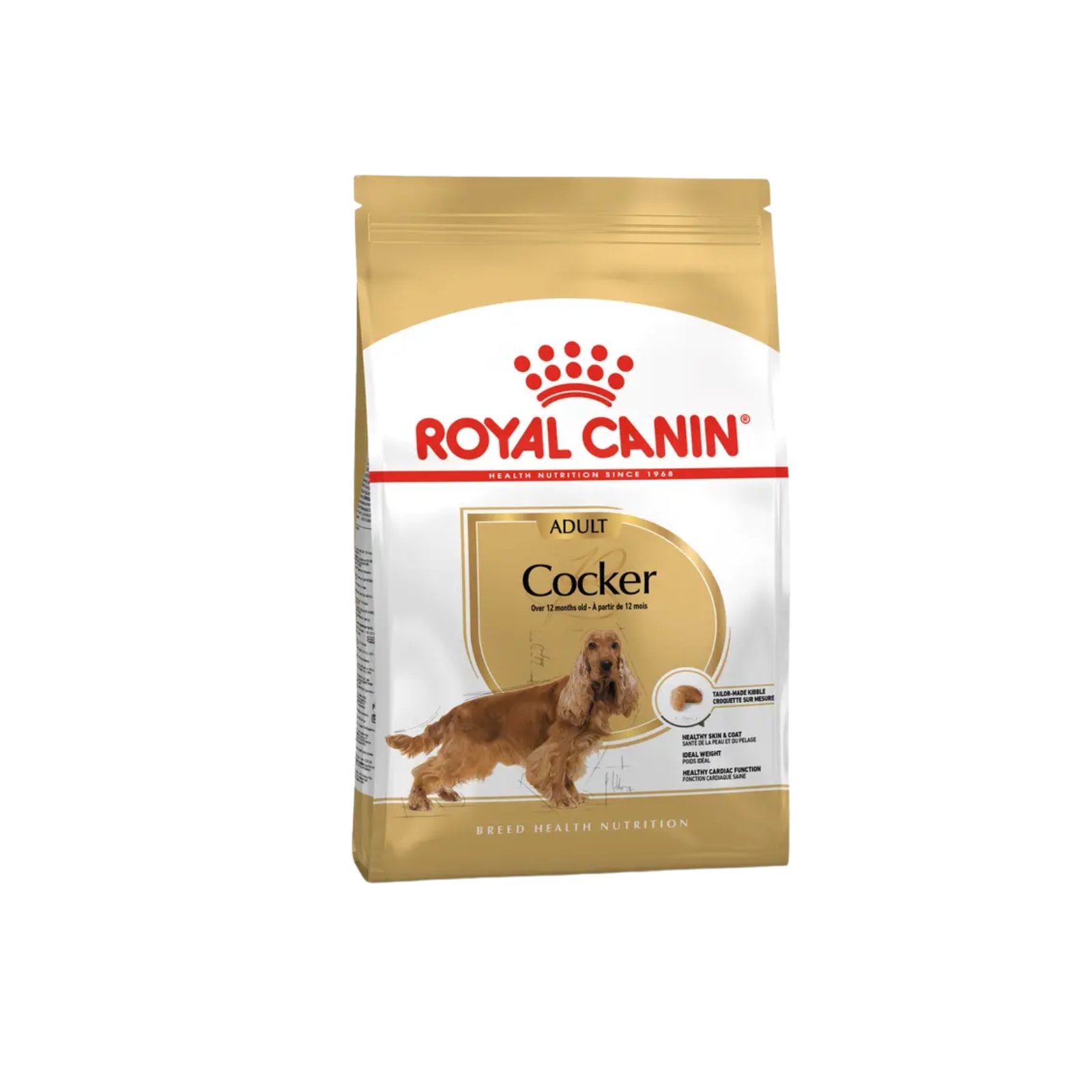 royal canin-dog-dry food-Cocker adult