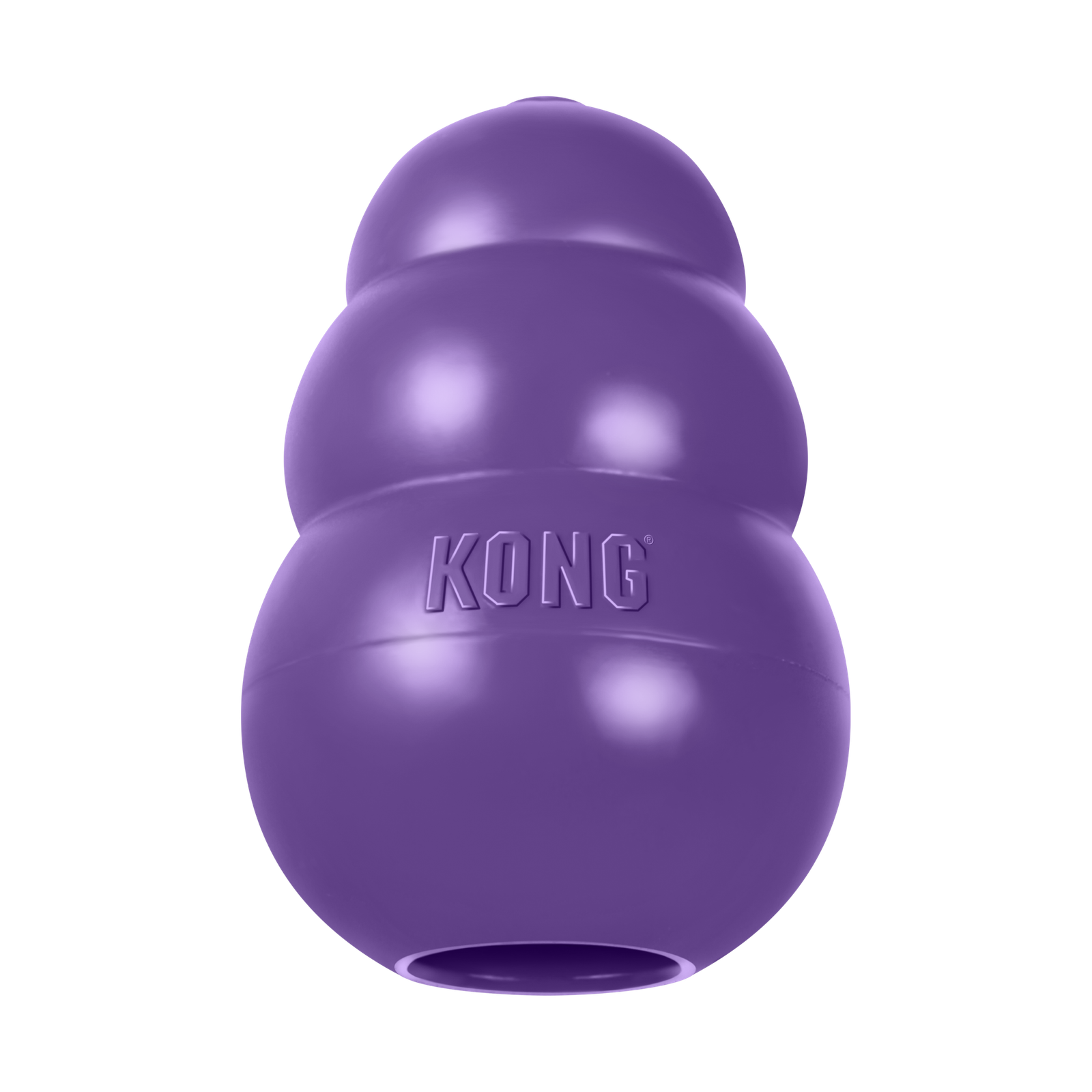 KONG Senior-KN1E_OFF_PK_1