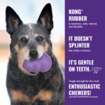 KONG Senior L -KN1E_ON_PK_1