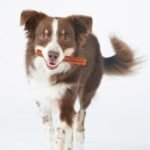 WHIMZEES Stix