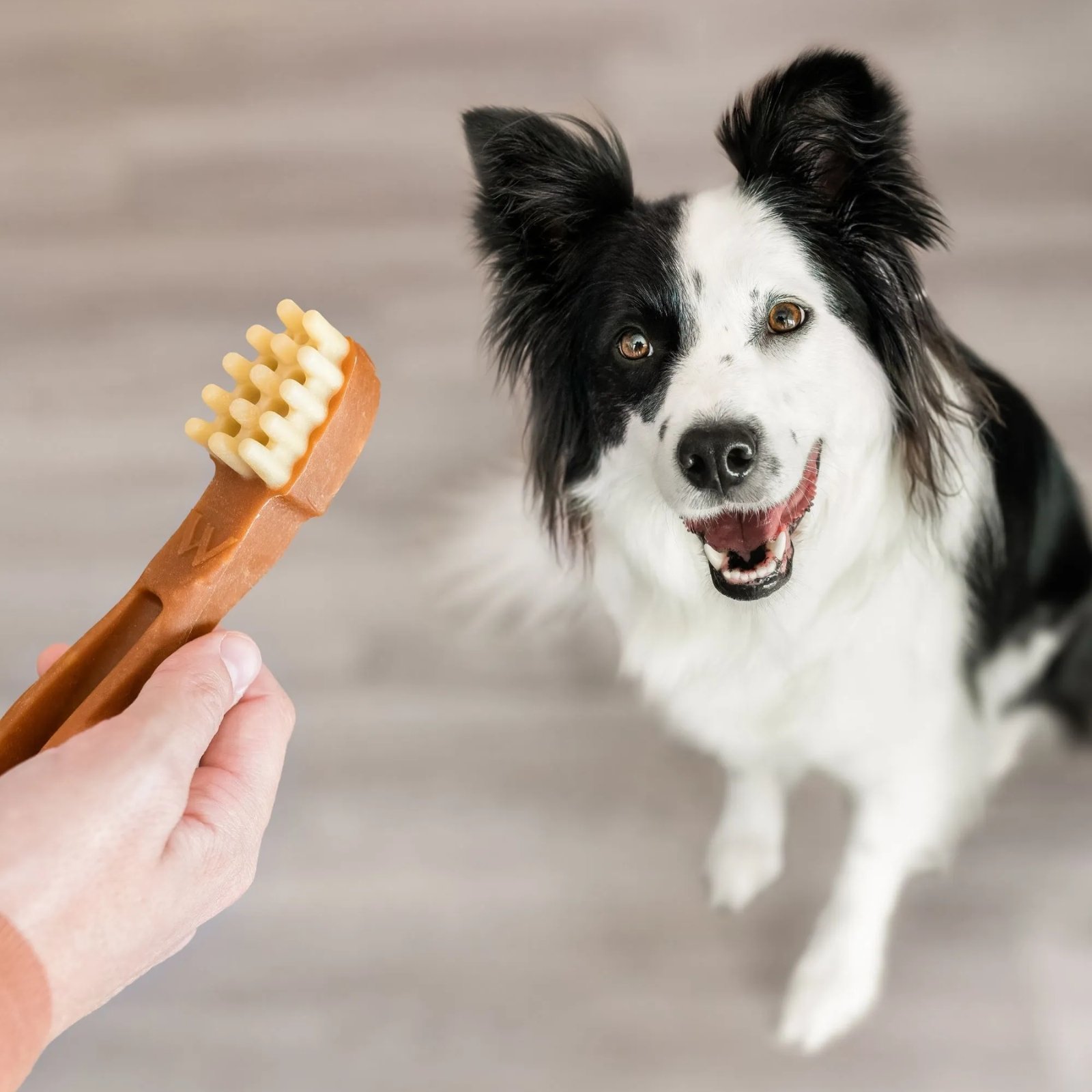 WHIMZEES Toothbrush-2