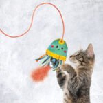 CAT63E_ON_PK_1