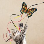 CAT65E_ON_PK_1