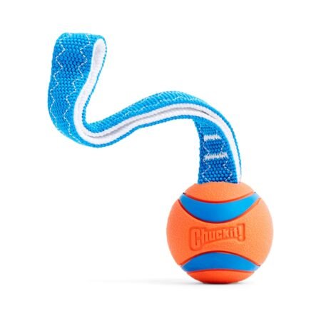 CHUCKIT! Ultra Tug Dog Toy Medium - 6cm